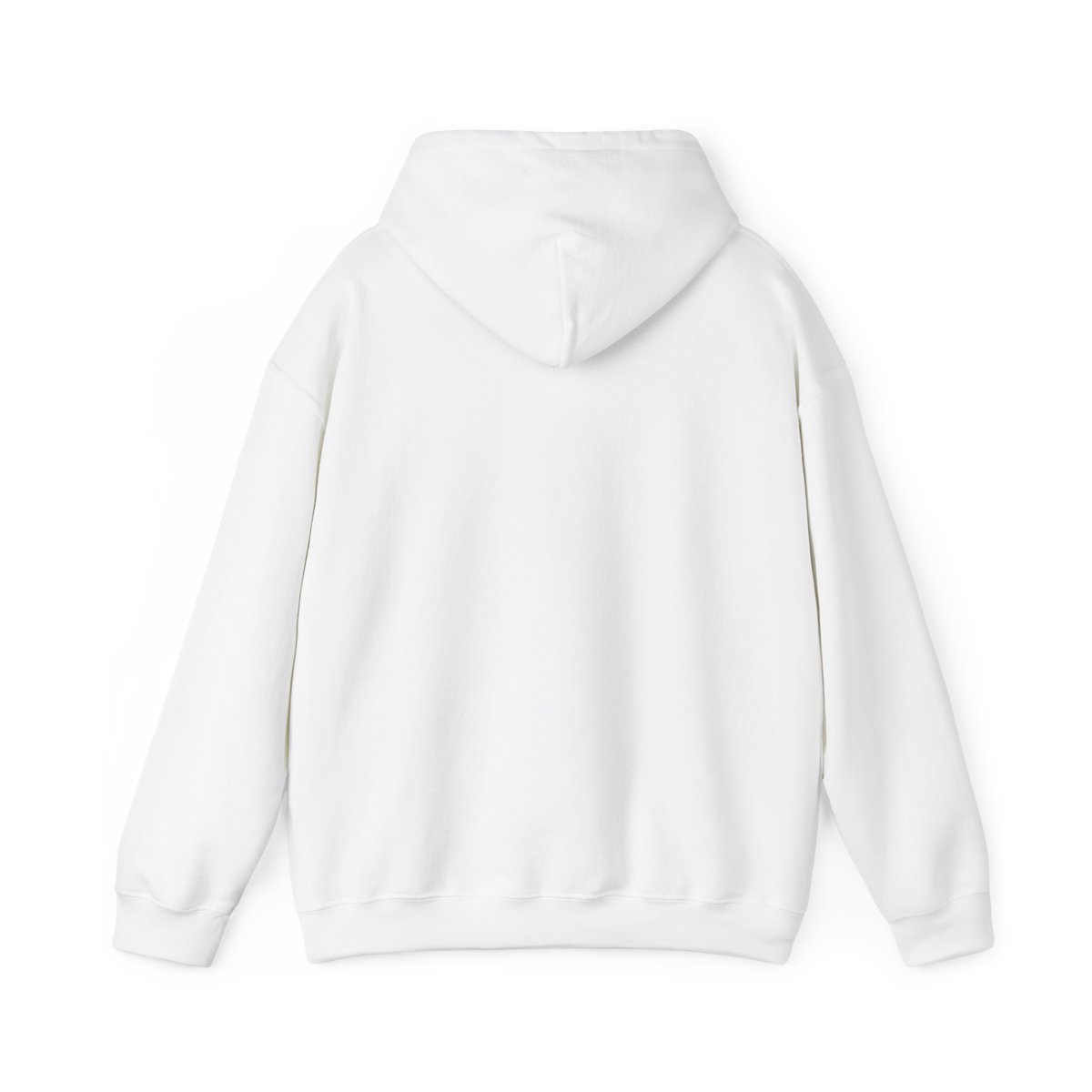 Bill Maher "New Rule" Hoodie - alternate angle 1, merchandise